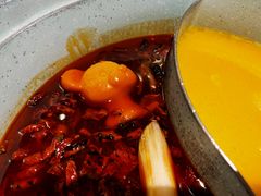 -青瓷火锅料理(西单大悦城店)
