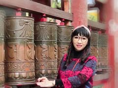 -塔尔寺-菩提树