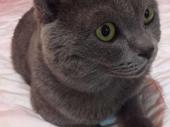 -北京赛佳动物医院