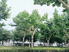 -龙美术馆(西岸馆)