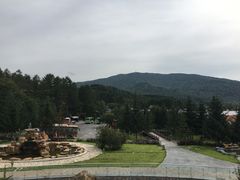-横道河子东北虎林园