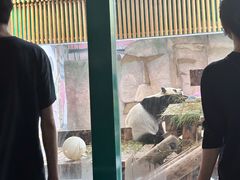 -无锡动物园·太湖欢乐园