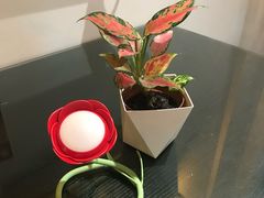 -EATALIA意塔利意式餐厅(鼓楼店)