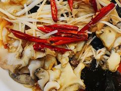 -小海丁