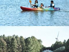 -上海海湾国家森林公园