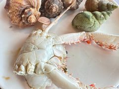 -荣誉国际酒店-云顶旋转餐厅