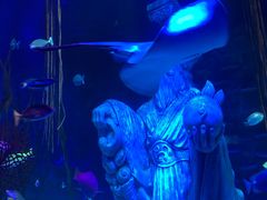 -沈阳海洋探索中心