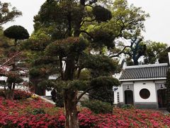 -岳麓山风景名胜区