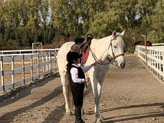 -月河湾马术俱乐部(朝阳店)