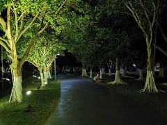 -万绿园