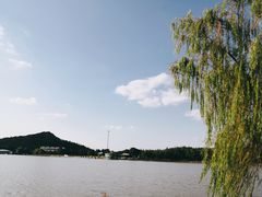 -上海月湖雕塑公园