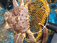 -盒马鲜生(曜一城店)