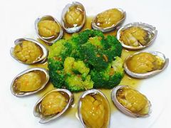 -好孕妈妈月嫂(哈尔滨总店)