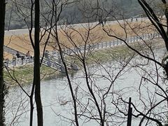 -佛手湖郊野公园