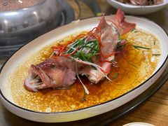 清蒸东星斑-柳记海鲜坊·蒸汽海鲜·福州菜·香辣蟹(芳群园店)