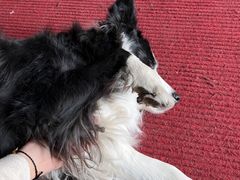 -哈尔滨北方国际青年旅舍(中央大街店)