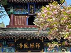 -洛阳白马寺