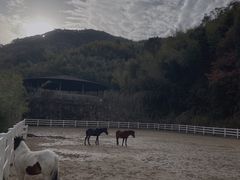 -宁海安岚·南溪阁全日餐厅