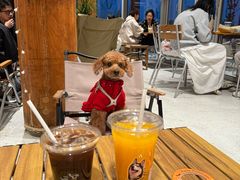 -omitofee咖啡(水泽店)