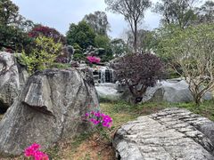 -东莞植物园