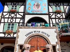 -济州岛泰迪熊博物馆