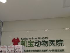 -悦宠凯宝动物医院·牙科·皮肤科(朝阳北路店)