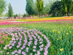 -北京植物园南门售票处