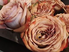 -螺思宝螺蛳粉火锅·鸭脚煲(西乡店)