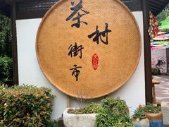 -天目湖山水园