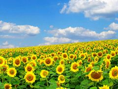 -莒南驴肉馆(蒙山大道店)