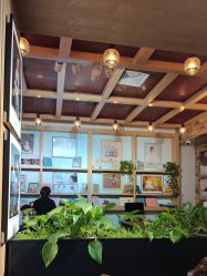 -芒果树国际儿童摄影(月亮河店)