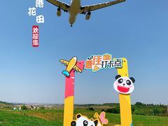 -空港花田景区