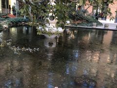 -绿地御豪温泉酒店·御泉中餐厅