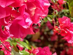 -天下先生态园农庄CS团建露营地(海鸥岛店)