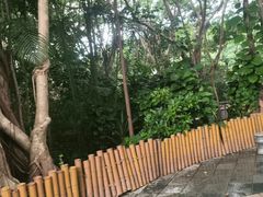 -碧水湾温泉