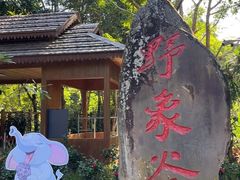 -野象谷景区