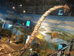 -自贡恐龙博物馆