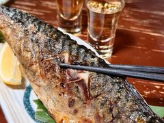 -鸟泉居酒屋·烧鸟·酒馆(百子湾店)