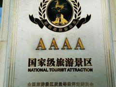 -上海鲜花港