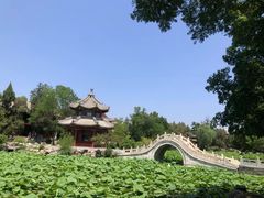 -莲池书院博物馆