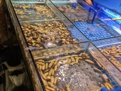 水产区-领鲜活海鲜榴莲自助火锅(东门店)