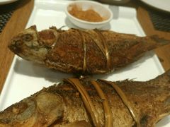 -滇越乘象云南餐厅(次渠店)