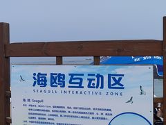 -棒棰岛宾馆景区
