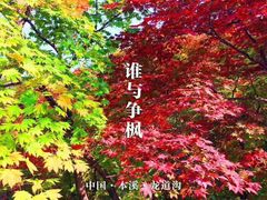 -龙道沟景区