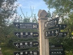 -大槐树寻根祭祖园