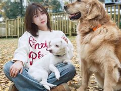 -逗柴咖啡屋·狗咖猫咖宠物桌游