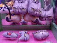 -汤姆熊欢乐世界(莘庄龙之梦店)