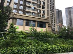 -奈雪的茶(南山大冲一期店)