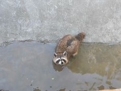 -泉州海丝野生动物世界