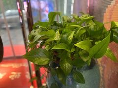-新盈光·旗舰店(海曙苍松路店)